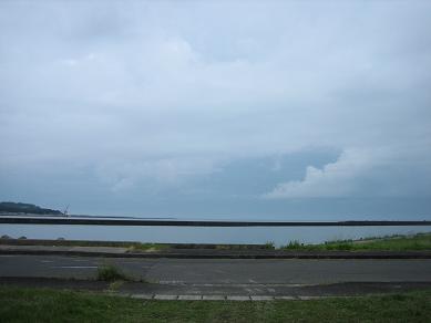 浄化作用