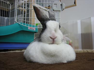 のんびり