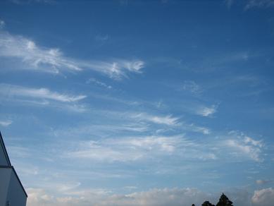 空